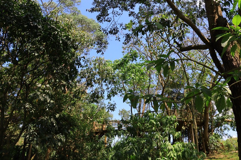 Daily conservation work